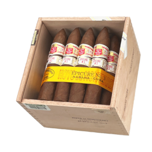 Hoyo de Monterrey Epicure N3