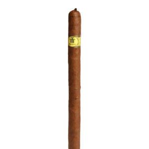 Trinidad Fundadores